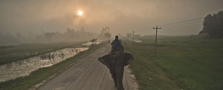 mahout_documentaire2